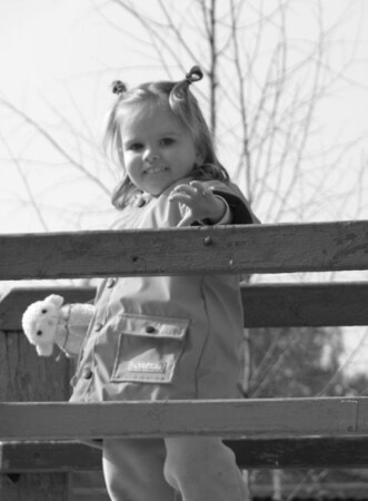 Охота на овец