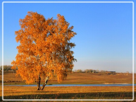 "Золотая осень"