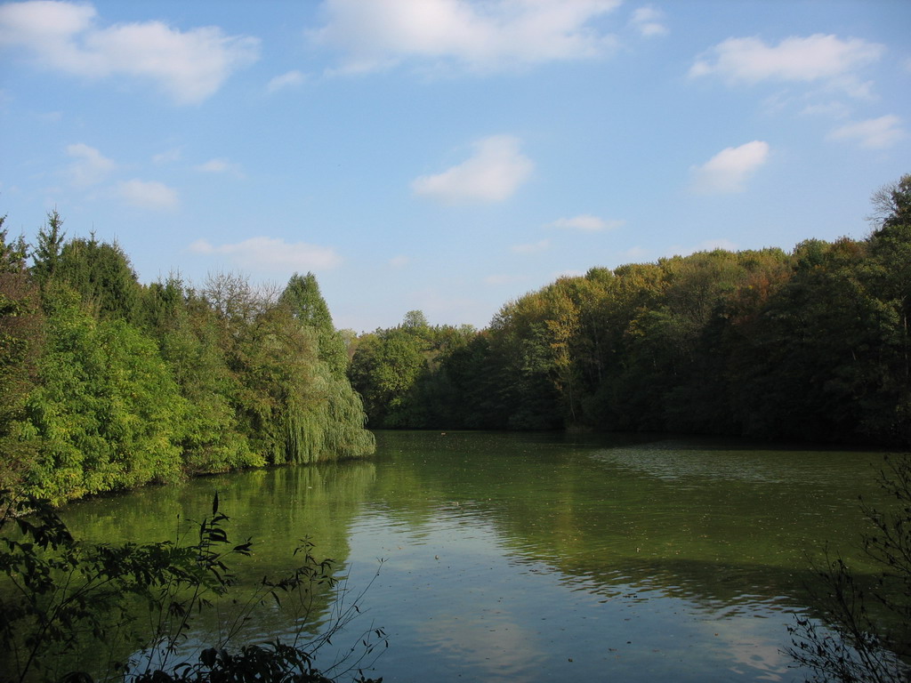 Золотая осень. Умань.