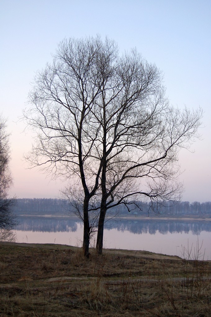Унылая пора. Всё стихает...