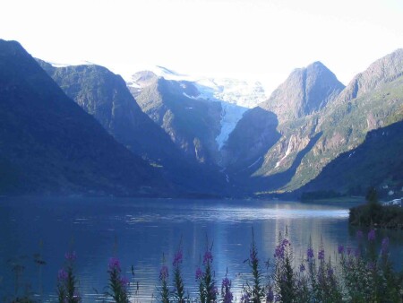 язык ледника