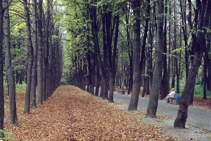 осеннее одиночество