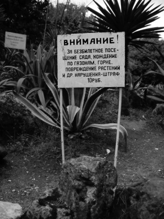 Пока не увидишь сам! Не поверишь...