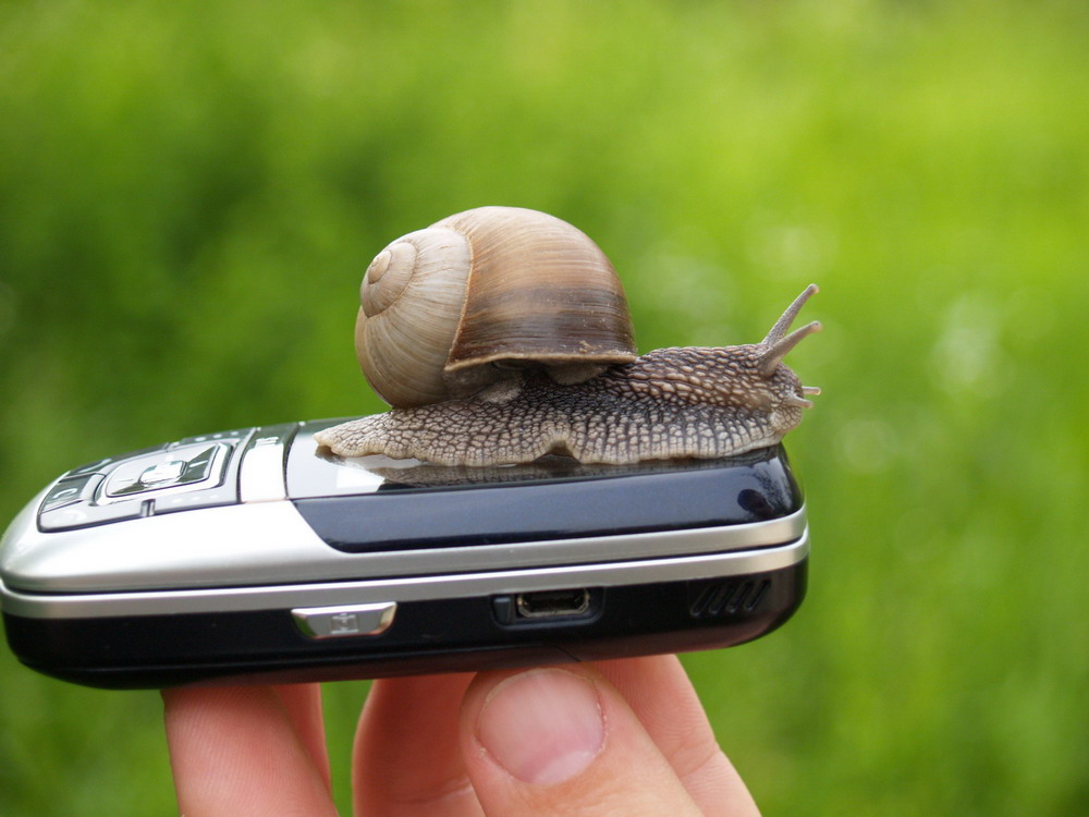 samsung D-600 :)