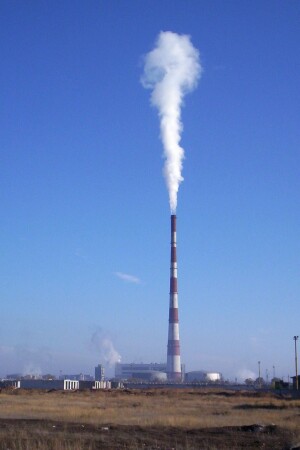 эротизм по Фрейду...