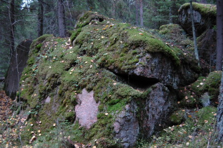 улыбка каменного зверья