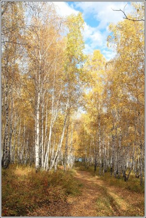 Акварель