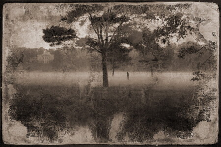 Призрак в тумане