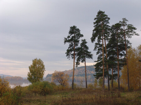 Тоскливая пора