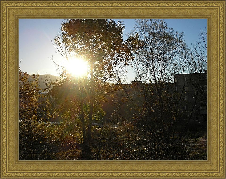 Утро в городе