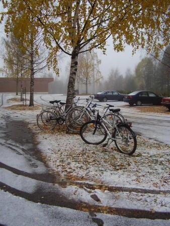 Первый снег