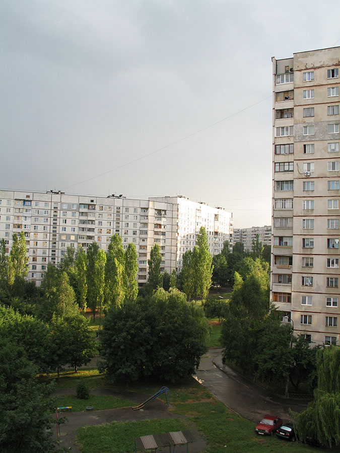 После дождя