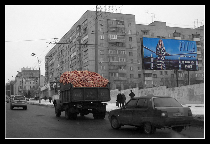 Про шкуры и кости