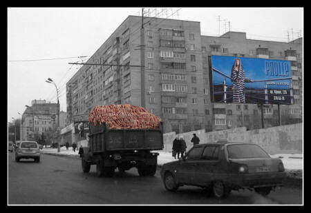 Про шкуры и кости