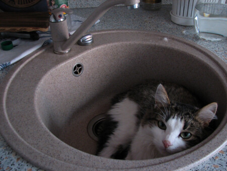 Включите воду, пожалуйста...