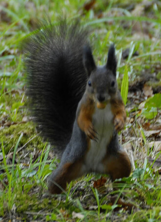 Попробуй отними...