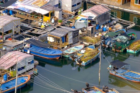 Краски морской жизни