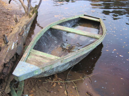 Осень 2006г - 1)