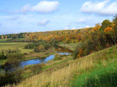 Просто осень...