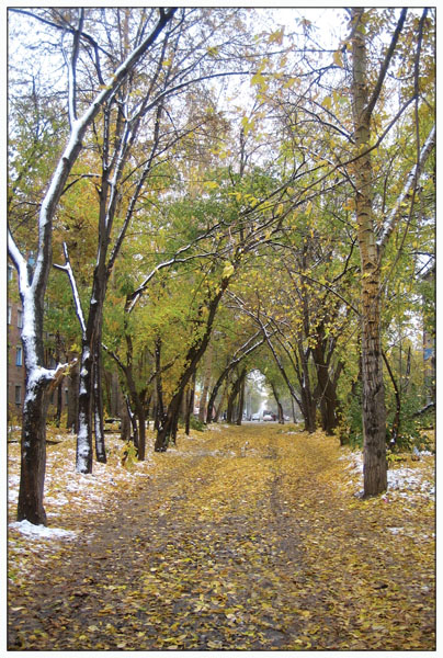 по дорожке
