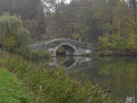 Осень в Марьино