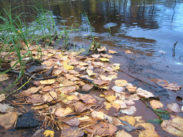 Осень 2006г - 2)