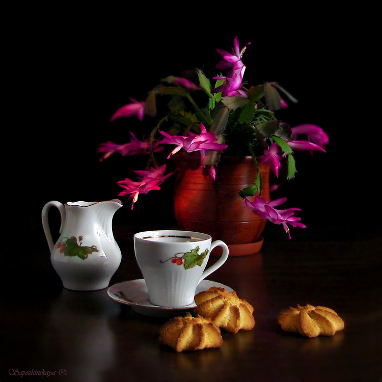 Кофе с печенюшками