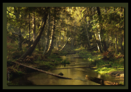 Утро на Студенке.