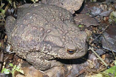 Поцелуй меня!