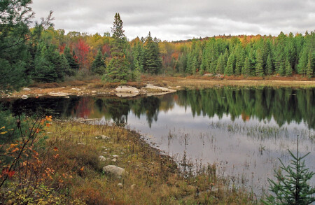 Algonquin Park