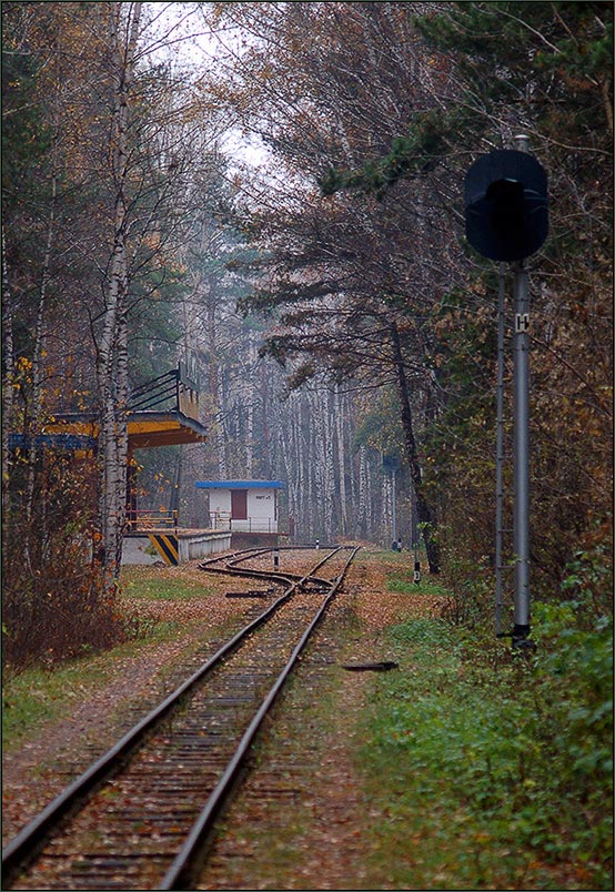 Дорога в...