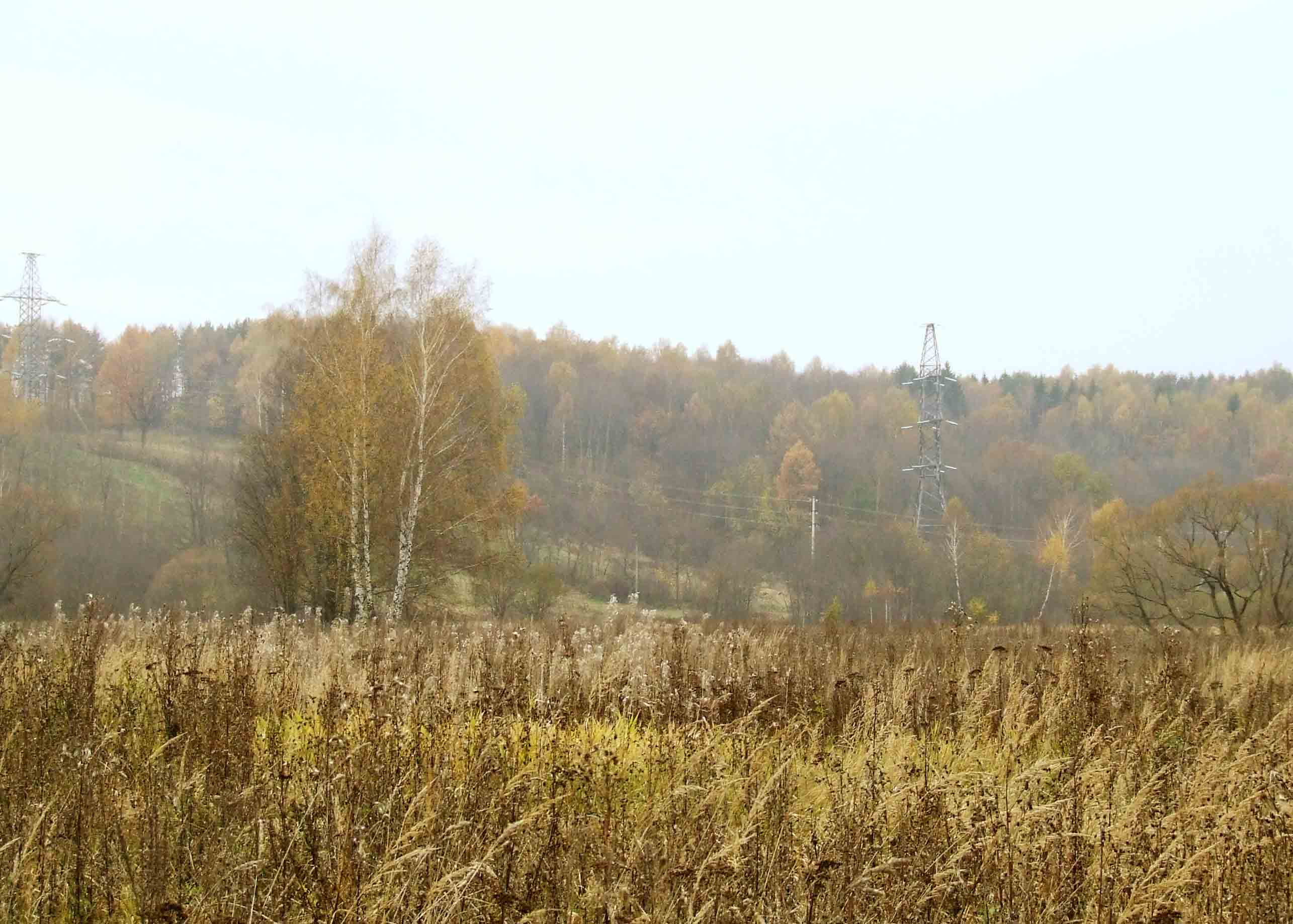желтая