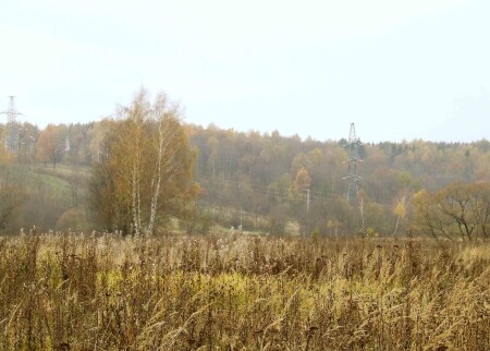 желтая