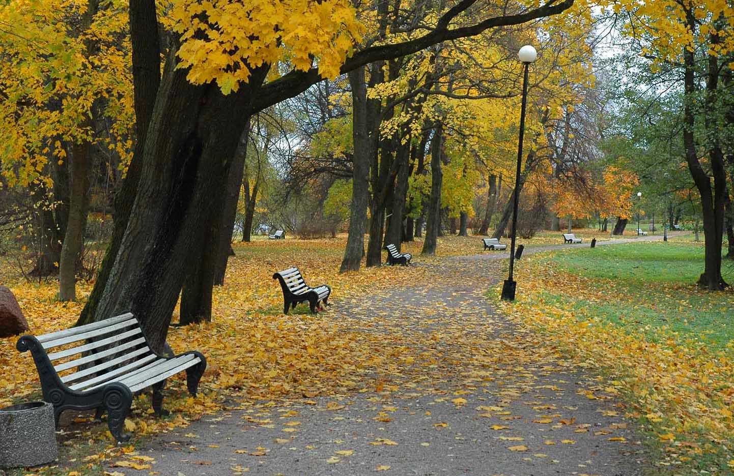 Парк Кадриорг