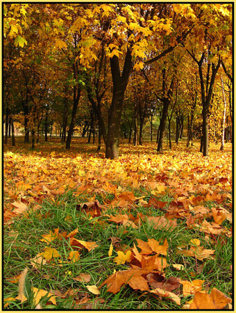 Просто осенняя