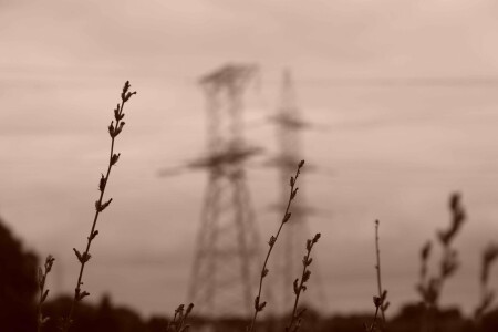 Жизнь в проводах