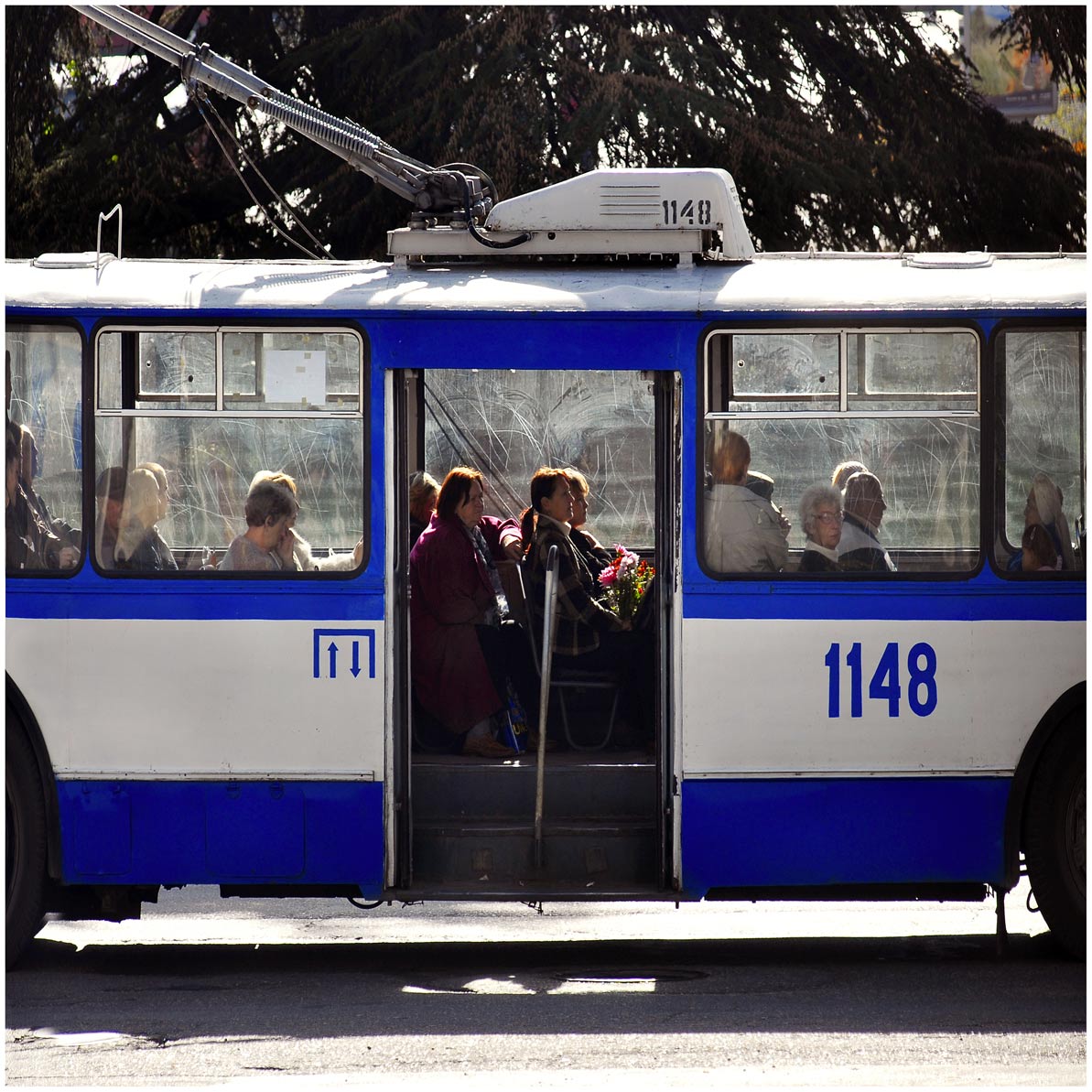 Magic Bus