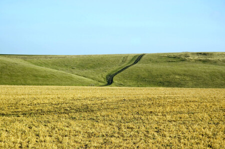 широка страна ....