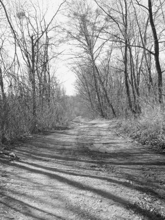 дорога в никуда