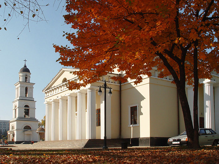 Осень в белом городе