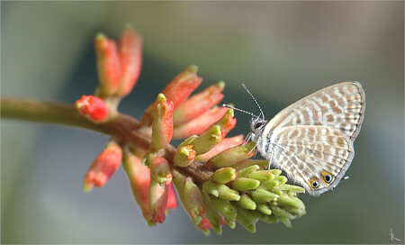 Осенний завтрак