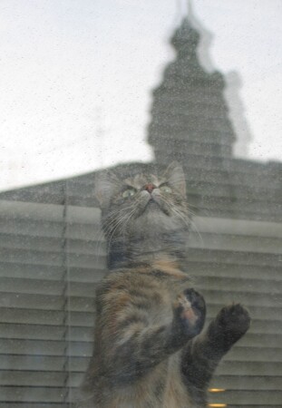 Питерская актриса