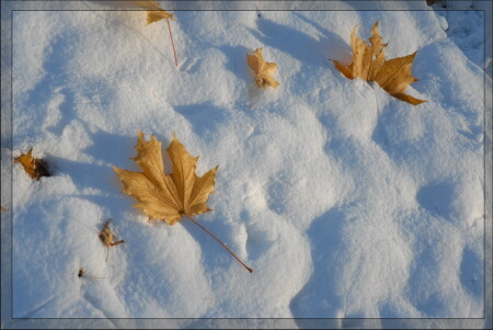 До свиданья, Осень!
