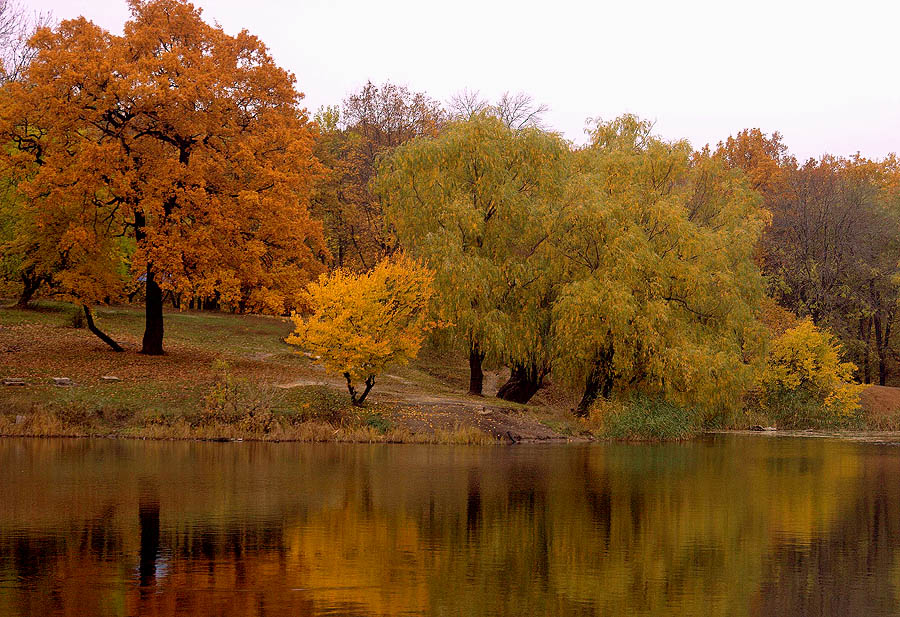 Цвета осени