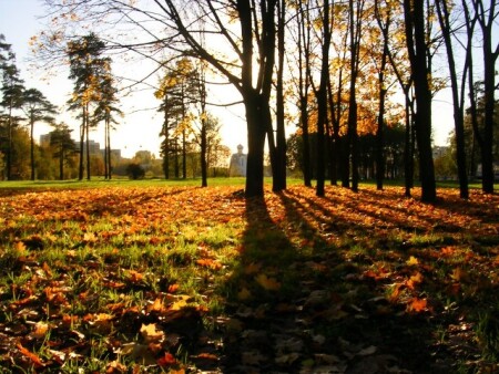 свет и тени