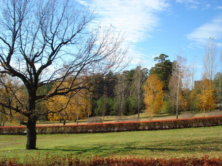 Краски осени...