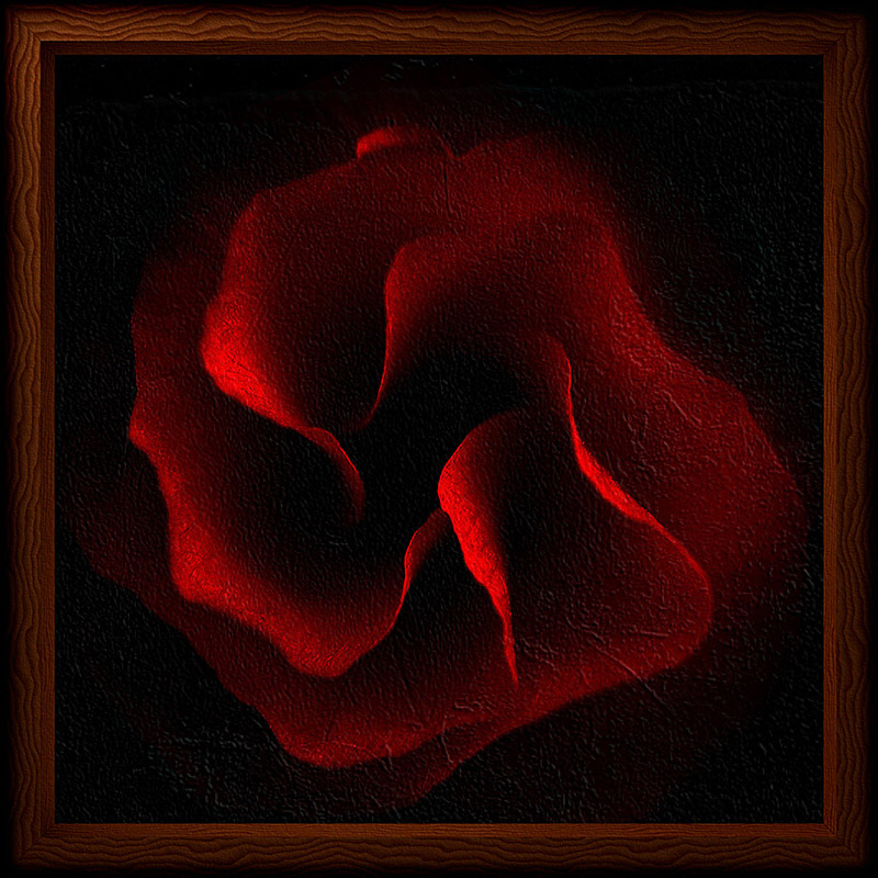 Red&amp;Black