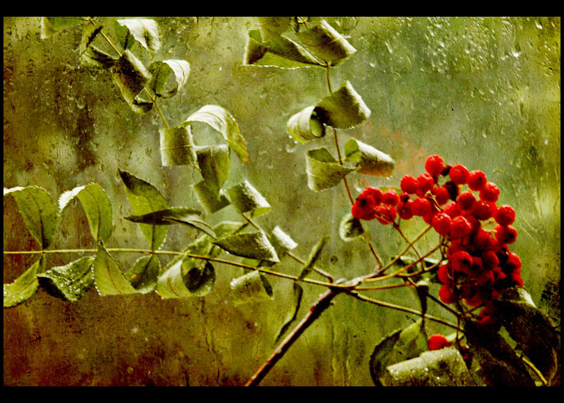 ... (ashberry)