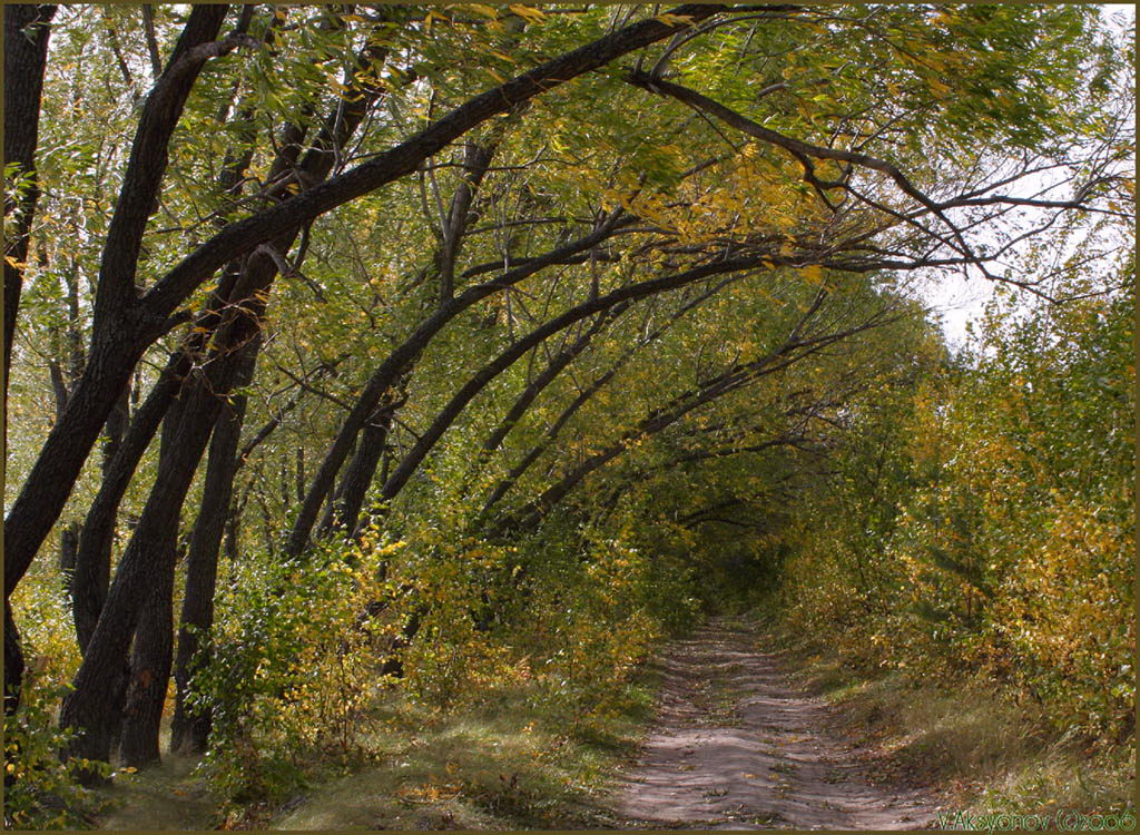 тоннель