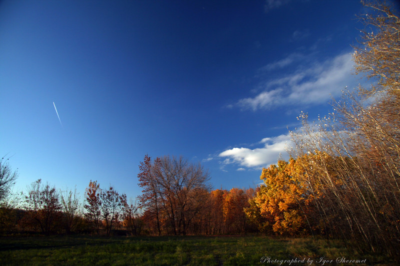 fall colours